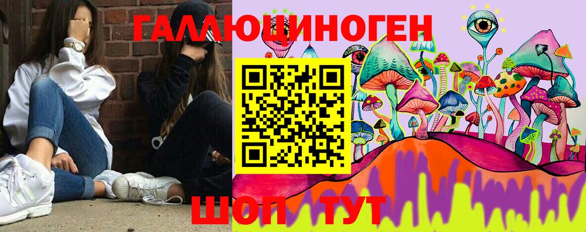Галлюциногенные грибы GOLDEN TEACHER  Вход с VPN  Аксай 