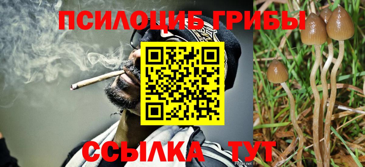 Псилоцибиновые грибы мицелий Аксай